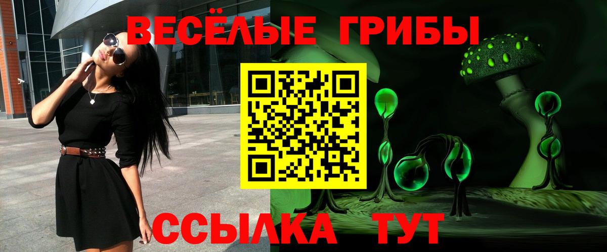 Гай  Галлюциногенные грибы Psilocybine cubensis  Вход с VPN  Псилоцибиновые грибы Cubensis 
